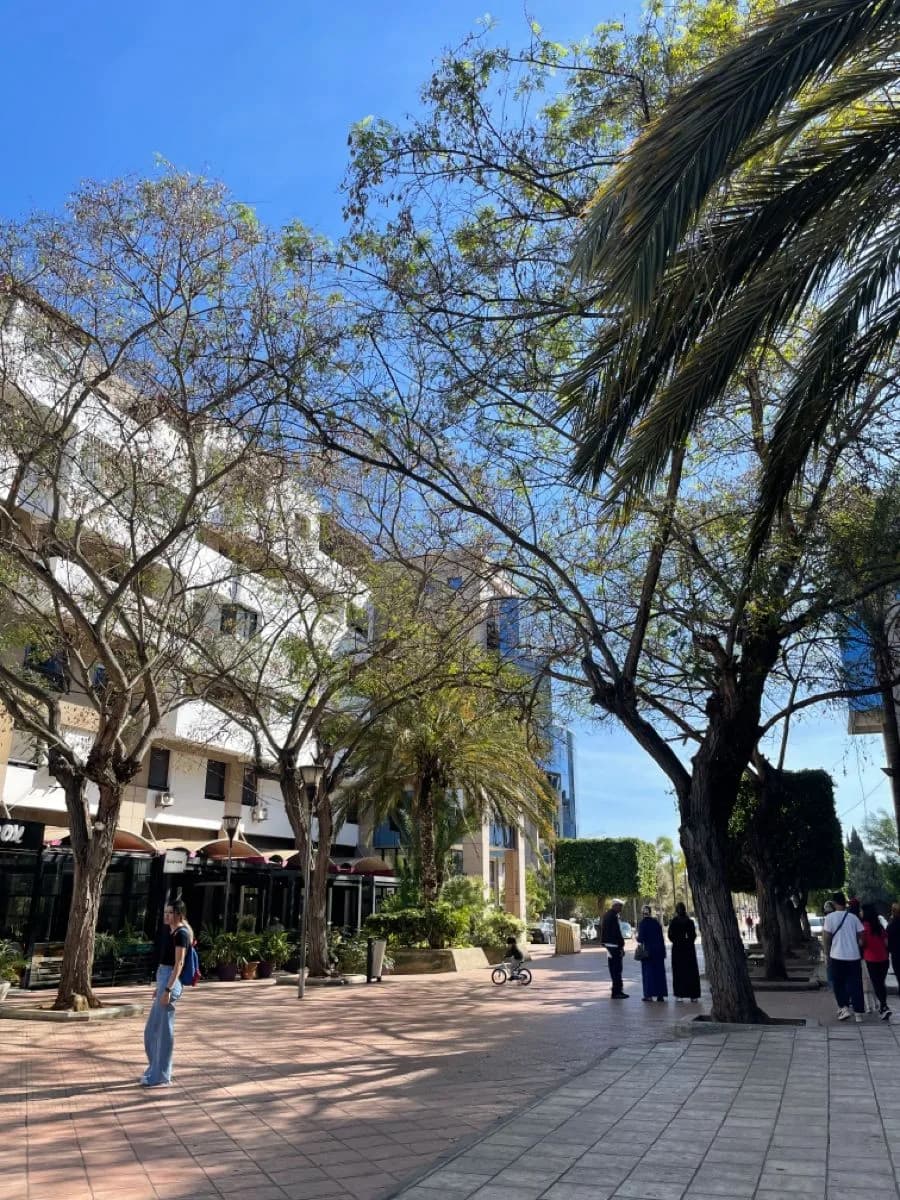Avenue résidentielle à Hay Riad Rabat